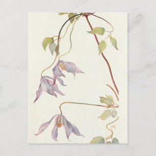 Lilac Clematis von Margaret Armstrong Postkarte
