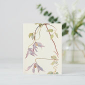 Lilac Clematis von Margaret Armstrong Postkarte (Stehend Vorderseite)