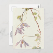 Lilac Clematis von Margaret Armstrong Postkarte (Vorne/Hinten)