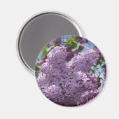 Lilac-Cluster Magnet (Vorderseite/Rückseite)