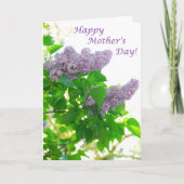Lilac Cluster Muttertagskarte Karte (Vorderseite)