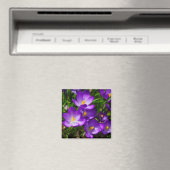 Lilac Crocuses Magnet (In Situ (Geschirrspüler))