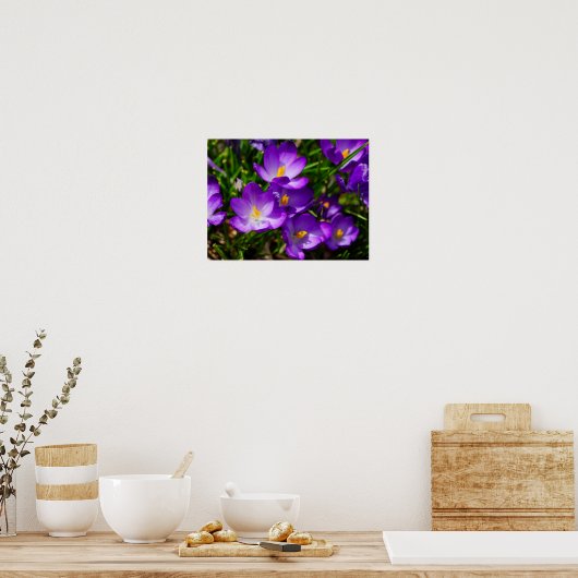 Lilac Crocuses Poster (Küche)