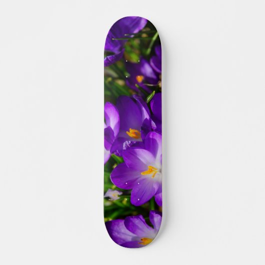Lilac Crocuses Skateboard (Vorne)