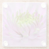 Lilac Dahlia - Glass Untersetzer (Rückseite)