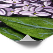Lilac Fairy Poster (Ecke)