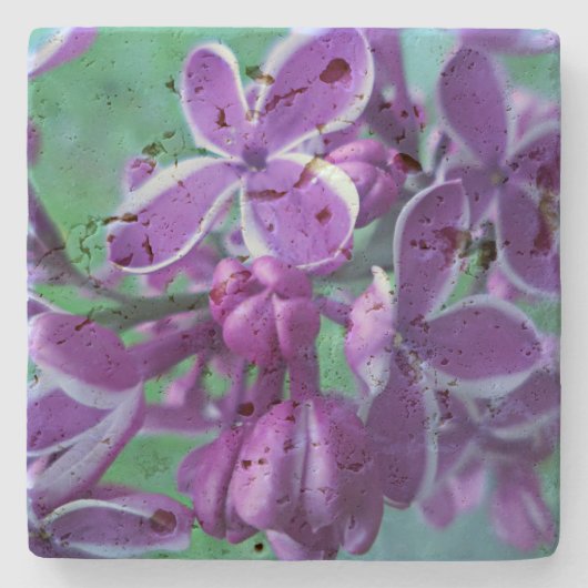 Lilac Farbvielfalt Steinuntersetzer (Vorderseite)