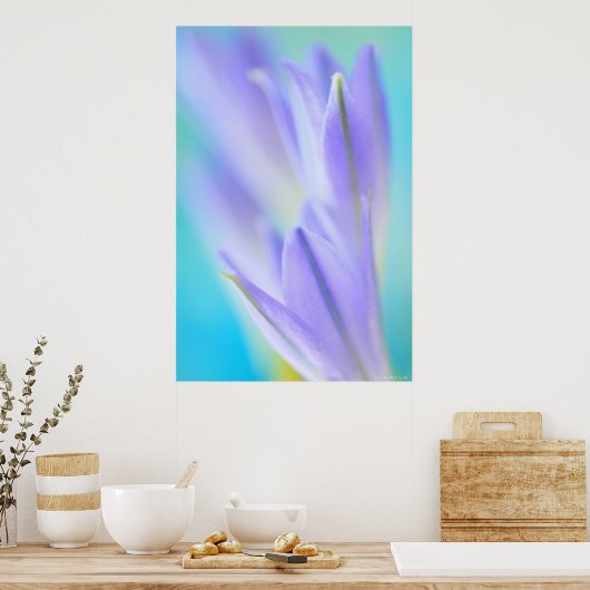 Lilac Flares Poster (Küche)