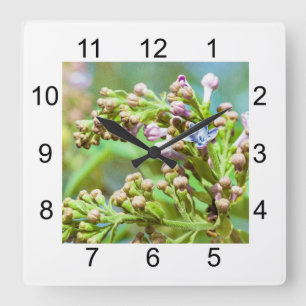 Lilac Flower - Primus Inter Pares Quadratische Wanduhr