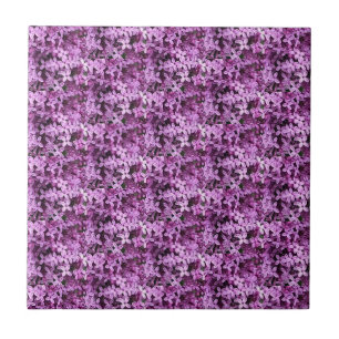 Lilac Foto Gefleckte halbe Tropfen Fliese