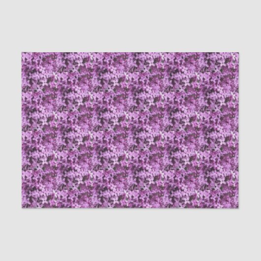 Lilac Foto | Gefleckte halbe Tropfen | Seidenpapier (Vorderseite)