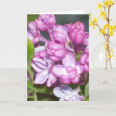 Lilac Grußkarte Karte (Gelbe Blume)