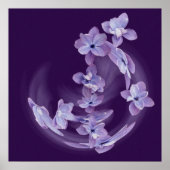 Lilac im Kreis Poster (Vorne)
