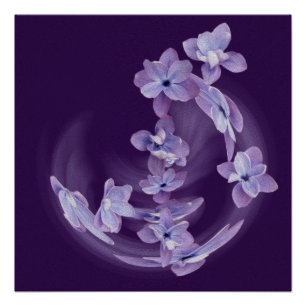 Lilac im Kreis Poster