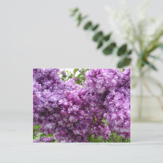 Lilac in Bloom Postkarte (Stehend Vorderseite)