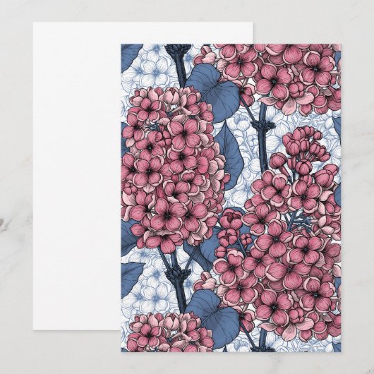 Lilac in pink and blue (Vorne/Hinten)