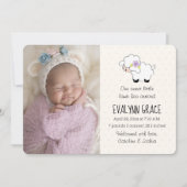 Lilac Lamb Frühjahr Foto Collage Geburtserklärung Ankündigung (Vorderseite)