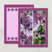 LILAC-LESEZEICHEN POSTKARTE (Vorne/Hinten)