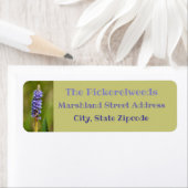 Lilac Lila Pickerelweed Blume Botanisches Floral (Insitu)