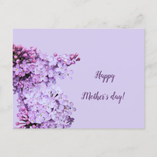 Lilac lila violett postkarte