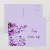 Lilac lila violett postkarte (Vorne/Hinten)