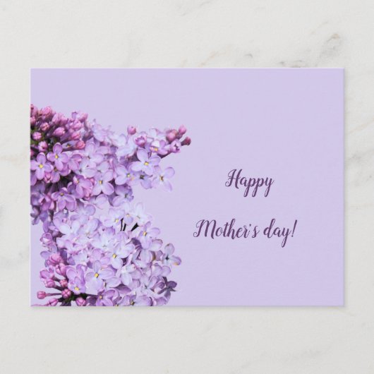 Lilac lila violett postkarte (Vorderseite)