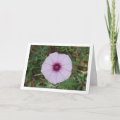 Lilac Morning Glory, Mallow Bindweed Wildblume Karte (Vorderseite)