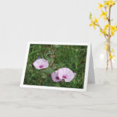 Lilac Morning Glory, Mallow Bindweed Wildblumen Karte (Gelbe Blume)