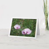 Lilac Morning Glory, Mallow Bindweed Wildblumen Karte (Vorderseite)