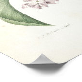 Lilac oder Lilas Poster (Ecke)