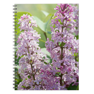 Lilac P5390 Notebook Notizblock