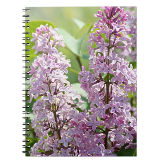 Lilac P5390 Notebook Notizblock (Vorderseite)