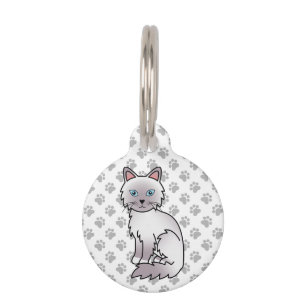 Lilac Point Birman / Ragdoll Katze & Haustier-Info Haustiermarke