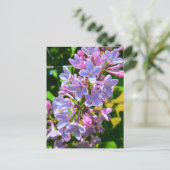 Lilac Postcard Postkarte (Stehend Vorderseite)