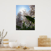 Lilac Poster (Küche)