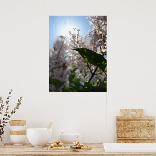 Lilac Poster (Küche)