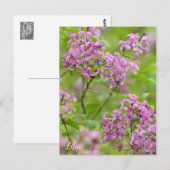 Lilac Postkarte (Vorne/Hinten)