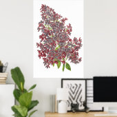 Lilac PREMIUM BOTANICAL DRINT Poster (Heimbüro)