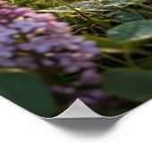 Lilac Rabbit Morning Meadow Poster (Ecke)