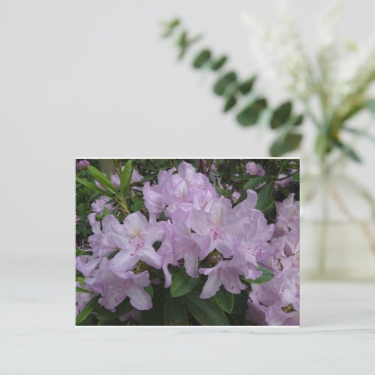 Lilac Rhododendron Blume DIY Postkarte (Stehend Vorderseite)
