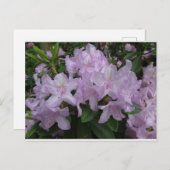 Lilac Rhododendron Blume DIY Postkarte (Vorne/Hinten)