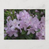Lilac Rhododendron Blume DIY Postkarte (Vorderseite)
