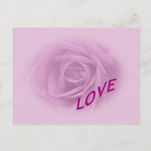 Lilac-Rose für Liebe Postkarte