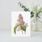 lilac(Syringa sp) von Redouté Postkarte (Stehend Vorderseite)