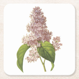 lilac(Syringa sp) von Redouté Rechteckiger Pappuntersetzer