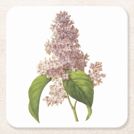 lilac(Syringa sp) von Redouté Rechteckiger Pappuntersetzer (Vorderseite)