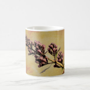 Lilac Tasse