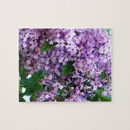 Lilac themed Jigsaw Puzzles (Horizontal)