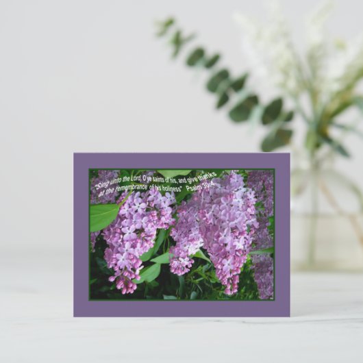 LILAC    TIMEPostcard Postkarte (Stehend Vorderseite)