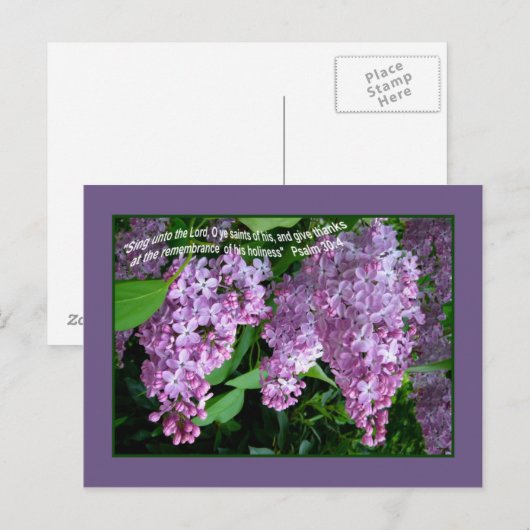 LILAC    TIMEPostcard Postkarte (Vorne/Hinten)